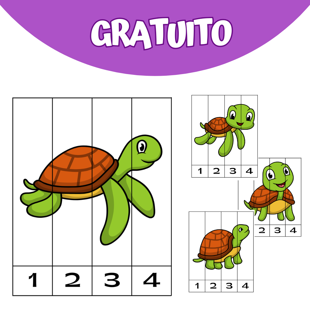 Tartaruga – O Corte e Comece a Confundir