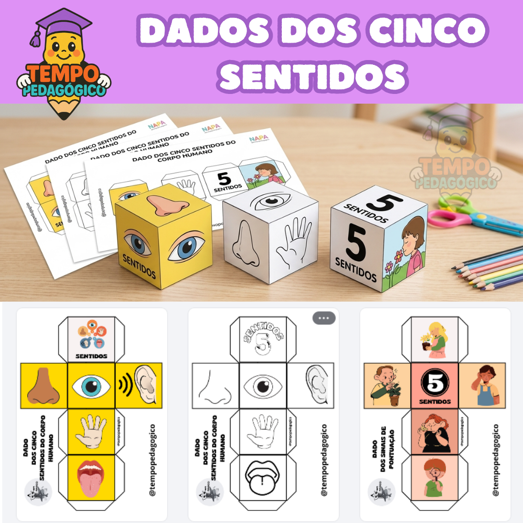 Dados dos Cinco Sentidos