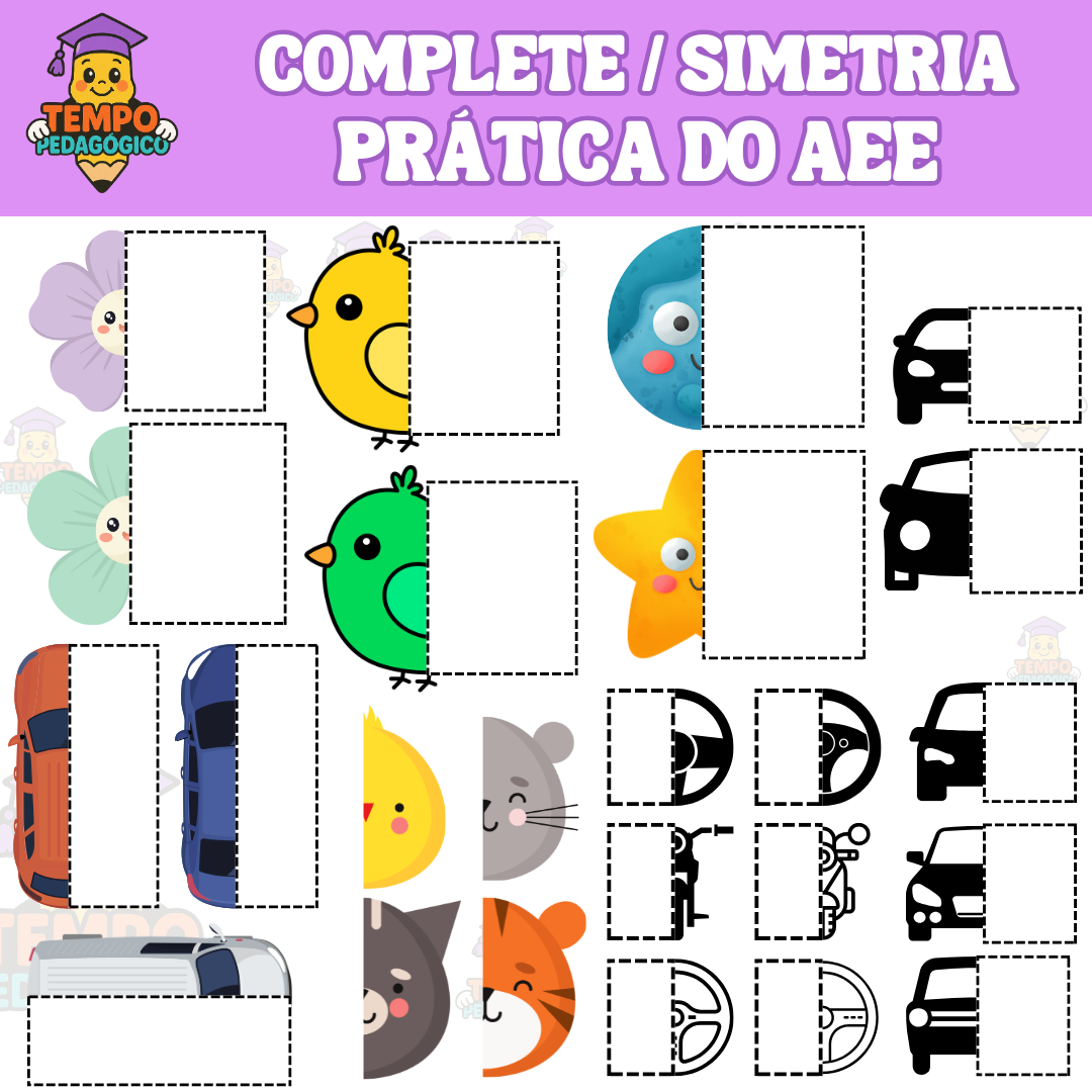 COMPLETE  SIMETRIA - PRÁTICA do AEE - (57 modelos)